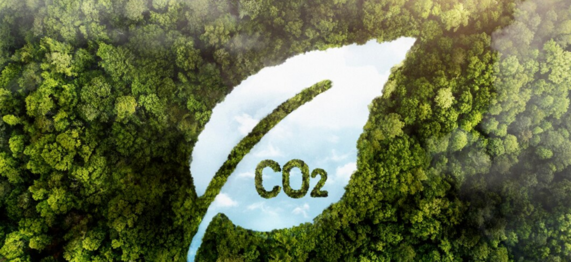 Leaf with CO2 in a Green Forest