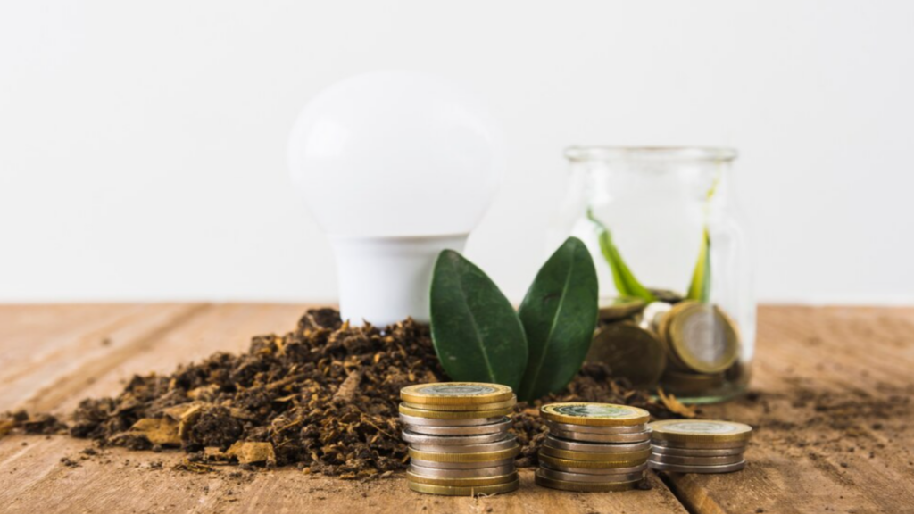 Lightbulb with Plants and Money